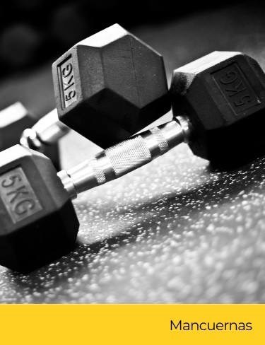 Gold's Gym Guantes de entrenamiento clásicos, guantes de  entrenamiento, levantamiento de pesas, fitness, ejercicio (pequeño) :  Deportes y Actividades al Aire Libre